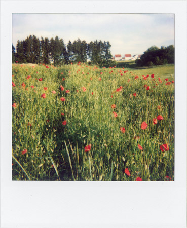 Villingen-Schwenningen 2005